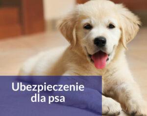 ubezpiecz psa